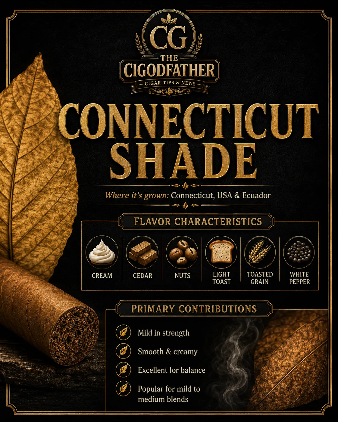 Connecticut Shade infographic: grown in Connecticut, USA & Ecuador, flavor notes of cream, cedar, nuts, light toast, toasted grain, white pepper, and what it gives a blend