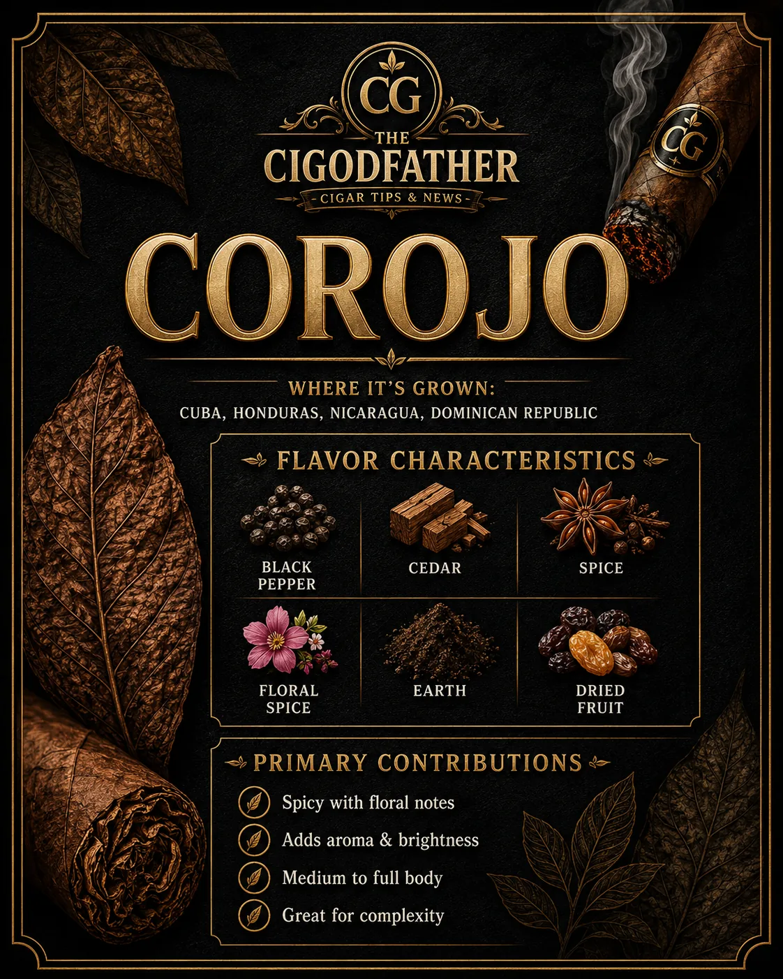 Corojo infographic: grown in Cuba · Honduras · Nicaragua · Dominican Republic, flavor notes of black pepper, cedar, spice, floral spice, earth, dried fruit, and what it gives a blend