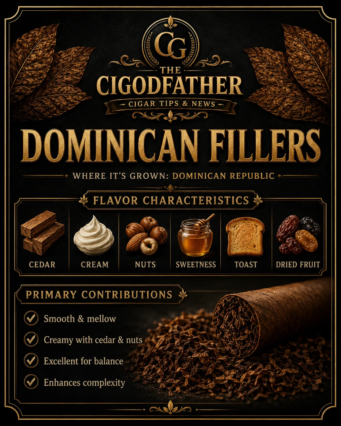 Dominican Fillers infographic: grown in Dominican Republic, flavor notes of cedar, cream, nuts, sweetness, toast, dried fruit, and what it gives a blend