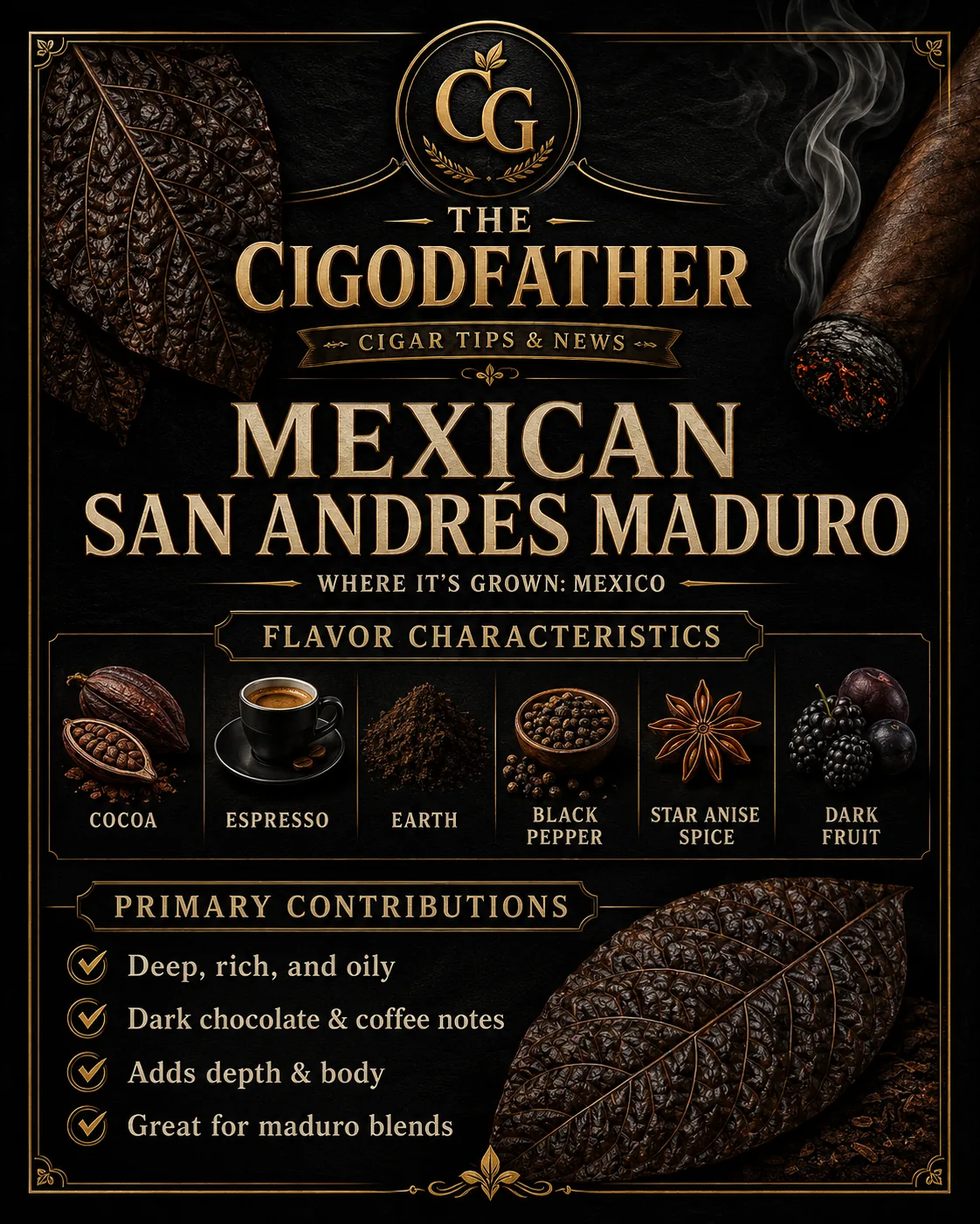 Mexican San Andrés Maduro infographic: grown in Mexico, flavor notes of cocoa, espresso, earth, black pepper, star anise spice, dark fruit, and what it gives a blend