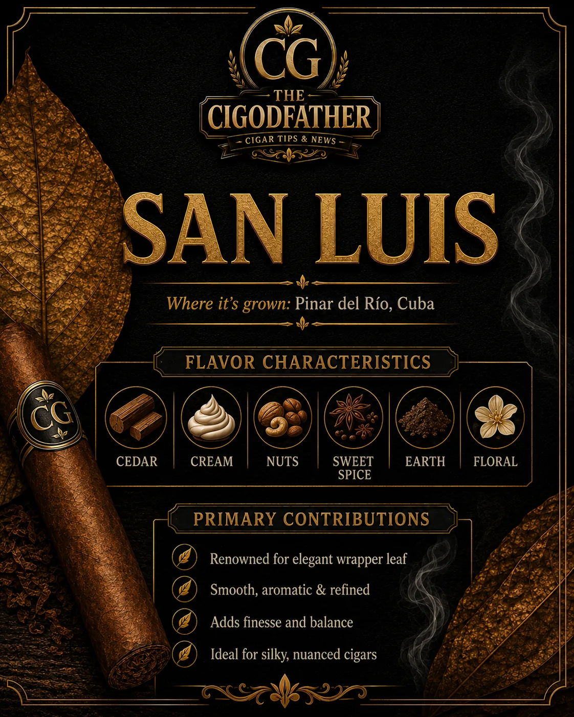 San Luis infographic: grown in Pinar del Río, Cuba, flavor notes of cedar, cream, nuts, sweet spice, earth, floral, and what it gives a blend