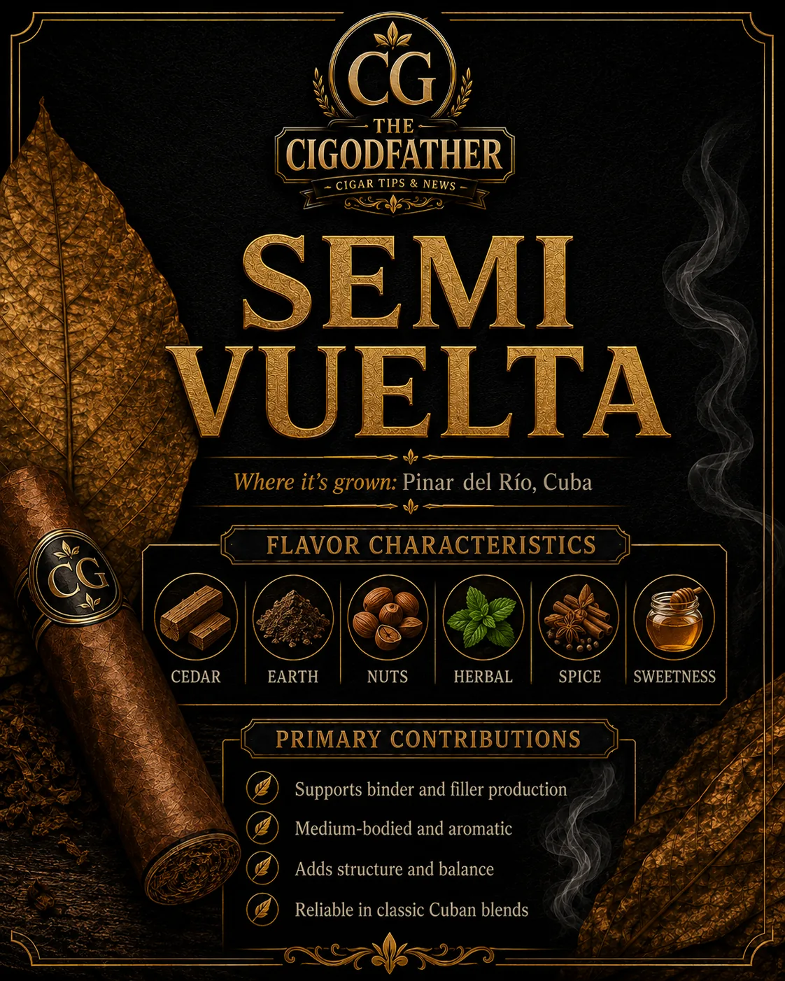 Semi Vuelta infographic: grown in Pinar del Río, Cuba, flavor notes of cedar, earth, nuts, herbal, spice, sweetness, and what it gives a blend